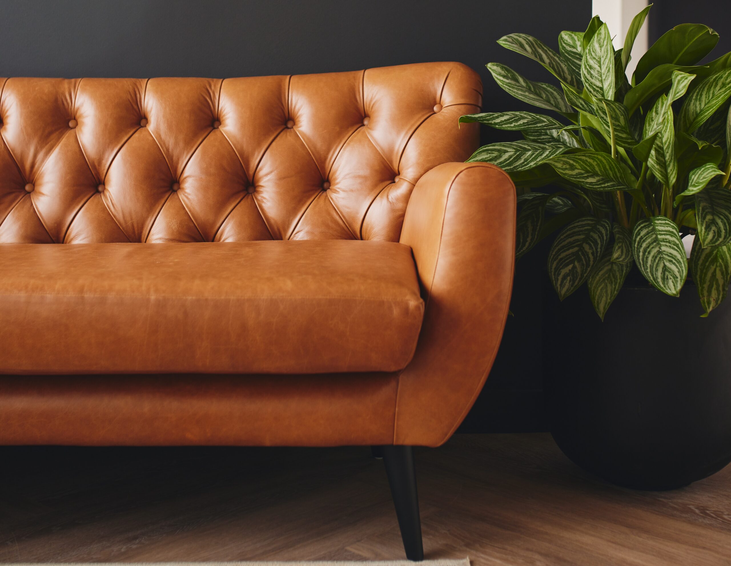 A brown tufted leather sofa next to a green potted plant on a wooden floor with a dark wall background.